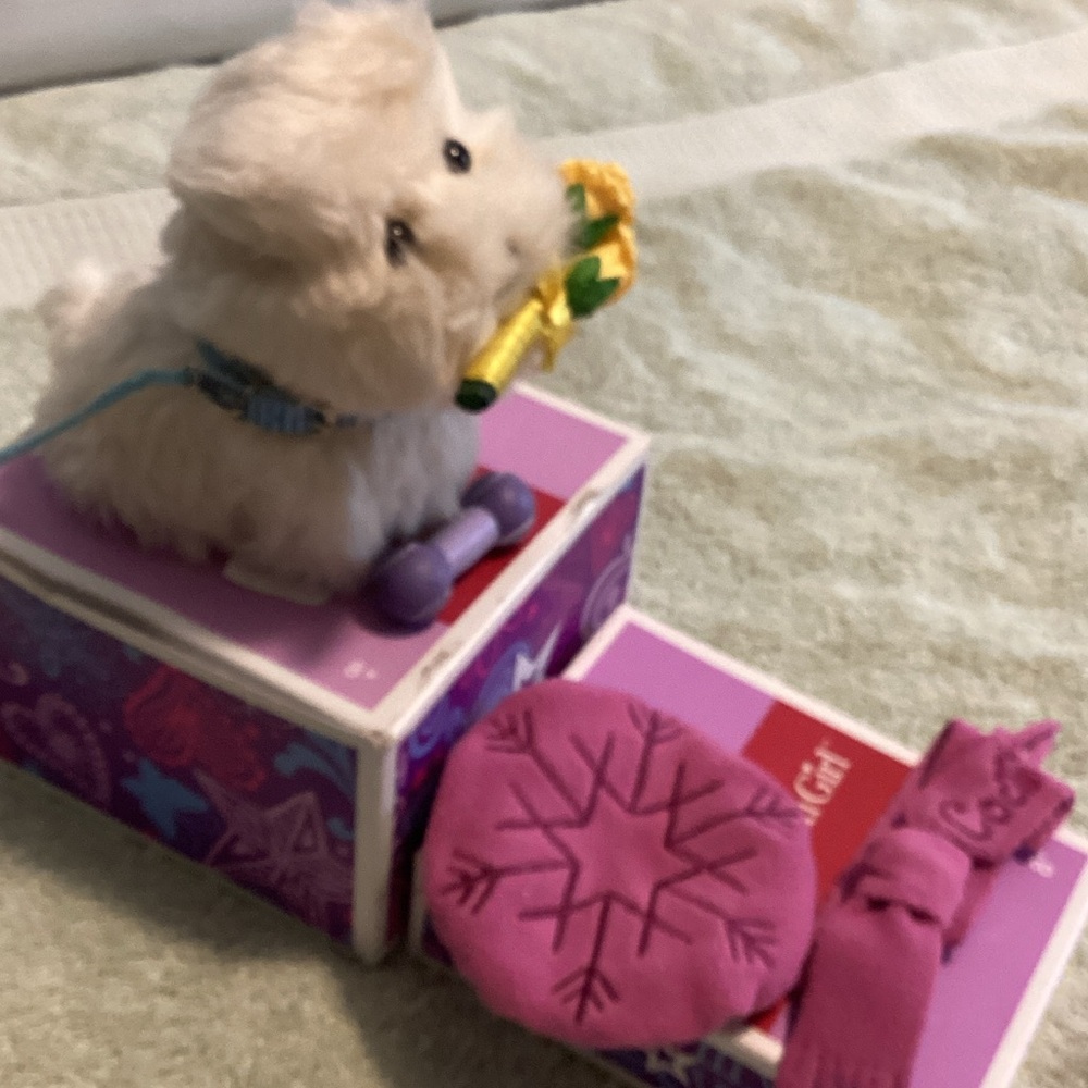 American Girl Coconut Puppy with Rink-side Accessories - Picture 5 of 5